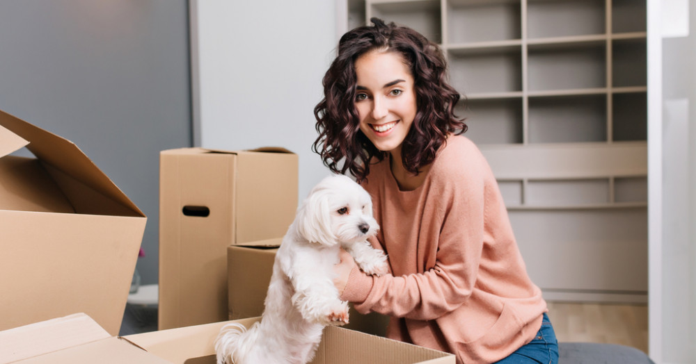 Top tips for renting with a pet Image